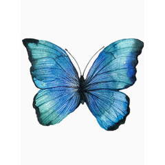 古风手绘蓝绿色蝴蝶