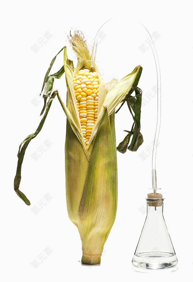 农业生物技术