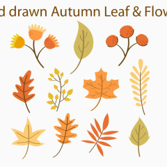 秋天树叶枫叶黄色矢量