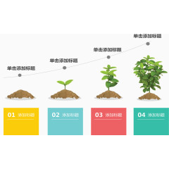 树苗成长过程图.