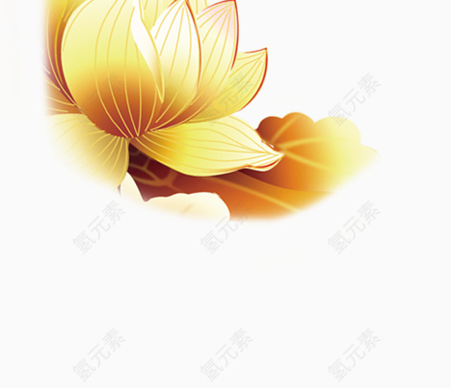 一朵金花