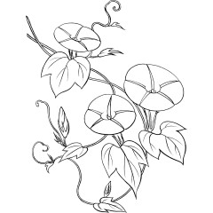 日本风格花草矢量素材