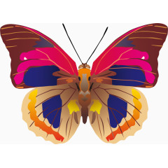 彩色花蝴蝶矢量素材