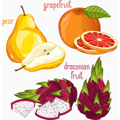 矢量梨子与火龙果