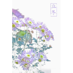 小野花立冬