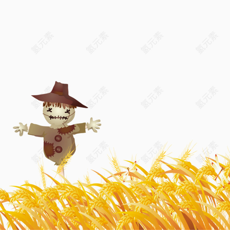 秋收小麦