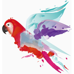 矢量水彩鹦鹉