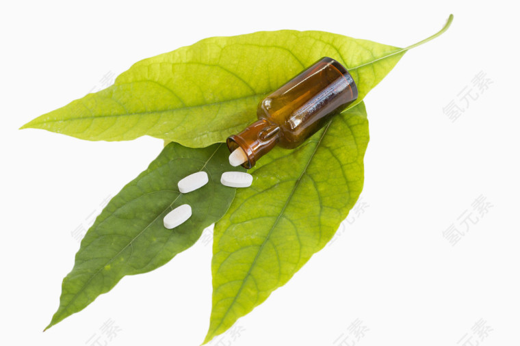 树叶药片