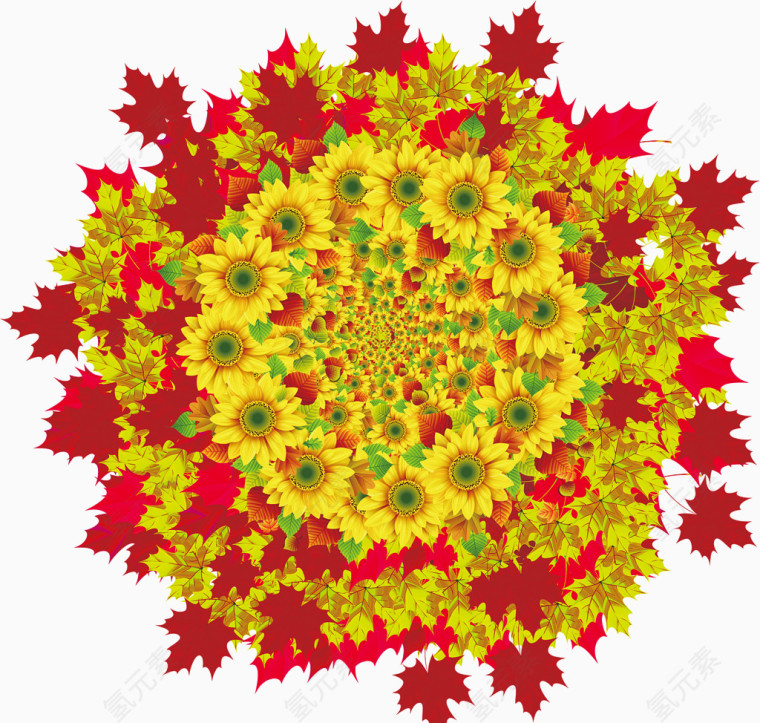 盛开的黄红色花朵