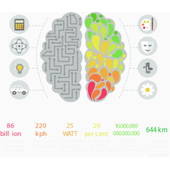 抽象图案大脑分类对比图