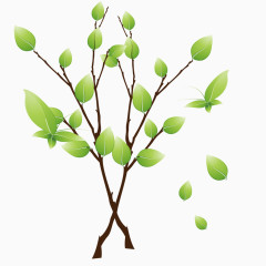 春意盎然的绿色春芽