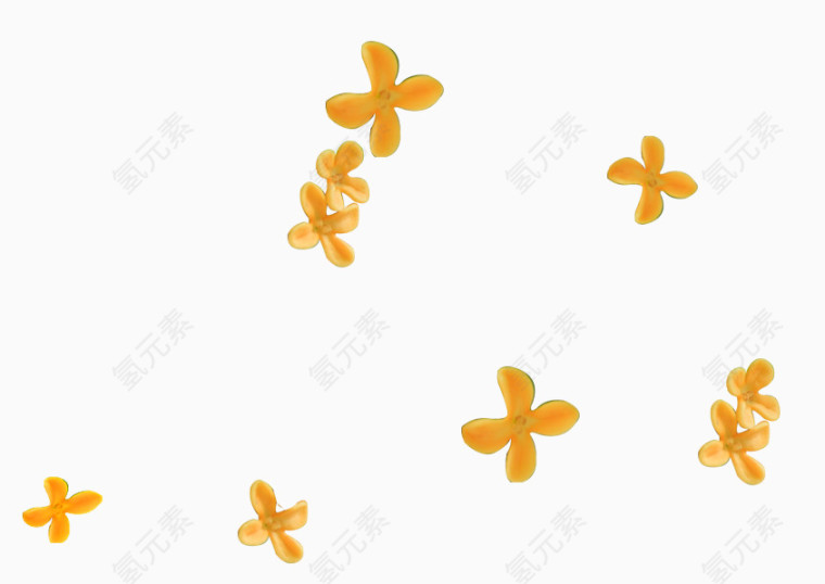 桂花花瓣飘落