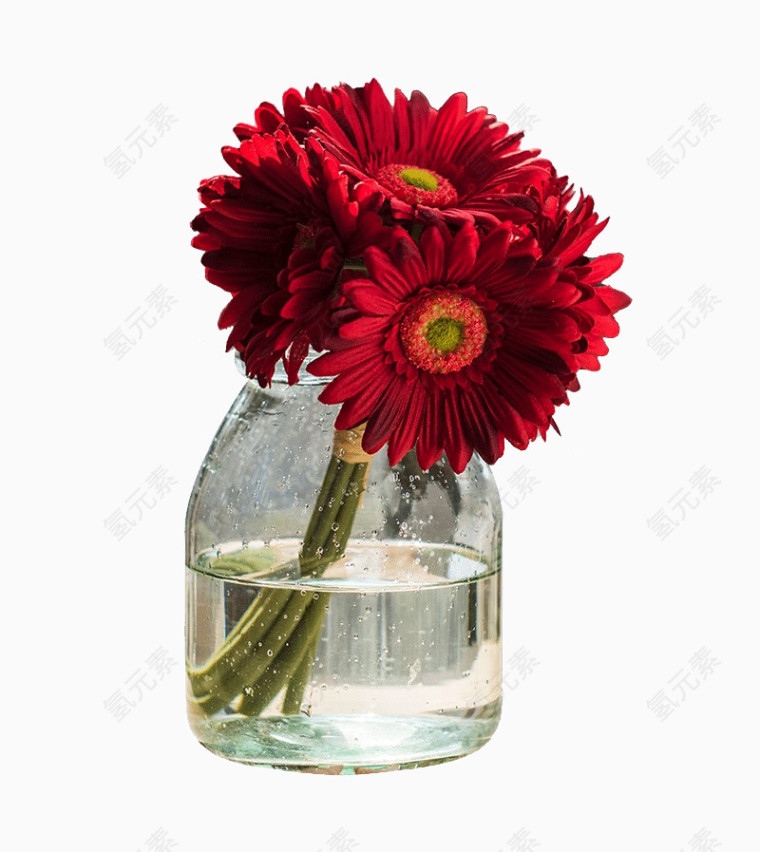 扶郎花非洲菊手工仿真花