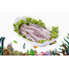 新鲜鱿鱼海底世界