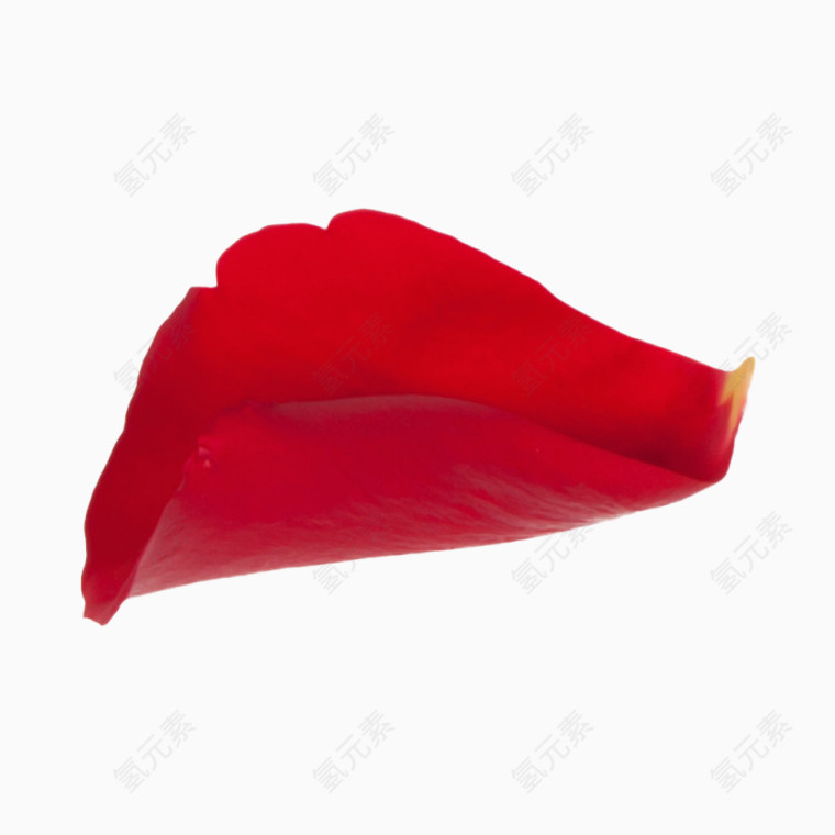 玫瑰花瓣