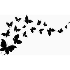 黑色蝴蝶成群飞