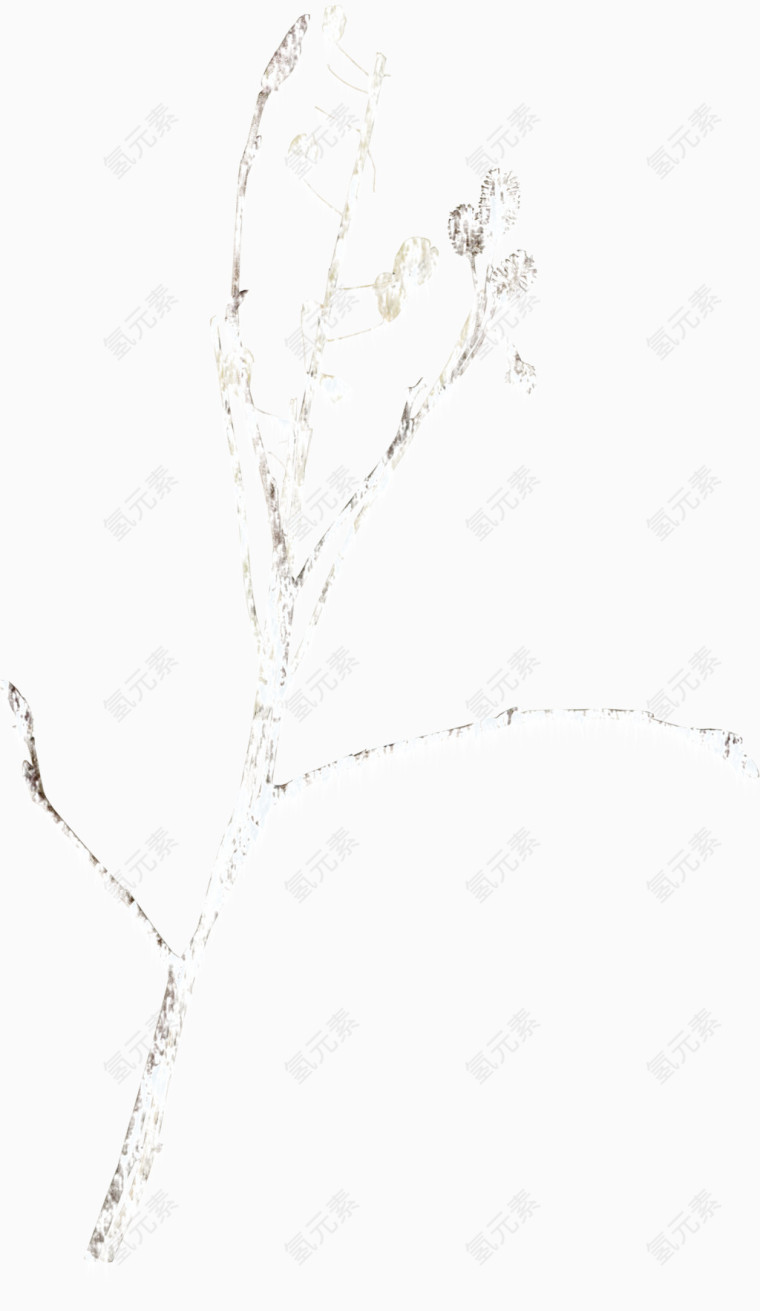 飘雪花朵树枝