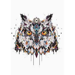 猫头鹰插画设计