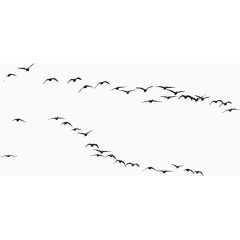 一群大雁PNG免抠素材