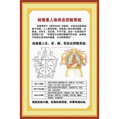 经络蛤体的总控制系统