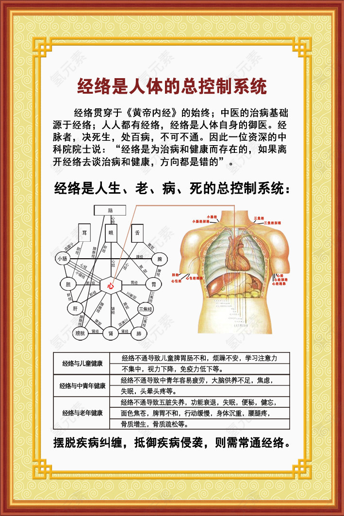 经络蛤体的总控制系统