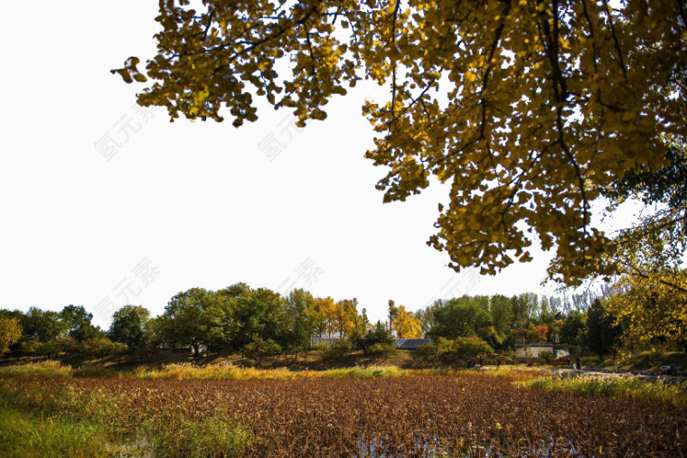 北京圆明园秋景图片