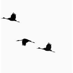简约矢量飞翔小鸟