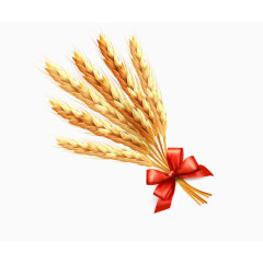 矢量稻穗素材