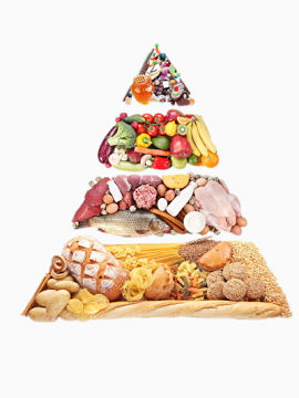 食物金字塔
