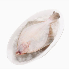 盘里的冷冻花斑鲽鱼
