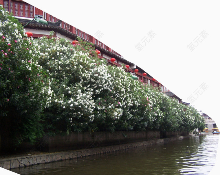 江边植物房屋风景