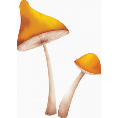 色彩鲜艳的大蘑菇免扣素材