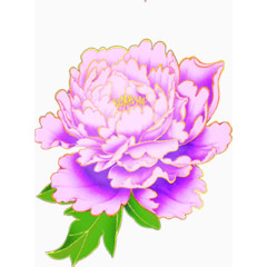 粉色牡丹花新年贺卡图片