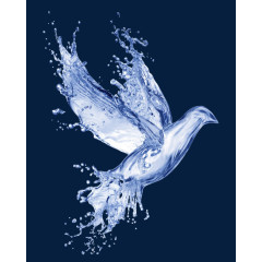 水鸽子特效免抠PNG图片