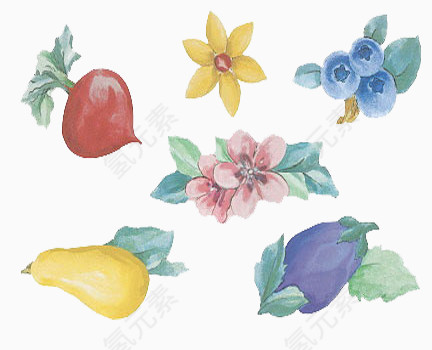 新鲜蔬菜手绘图