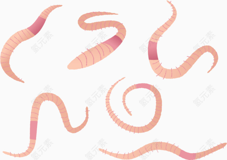 矢量卡通蠕虫可爱有趣的