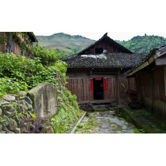 广西龙脊梯田风景