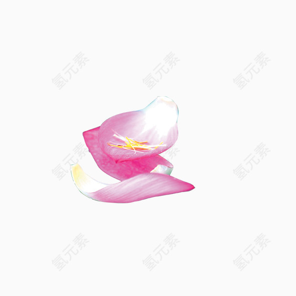 粉色花瓣