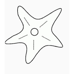 海星生物简笔画