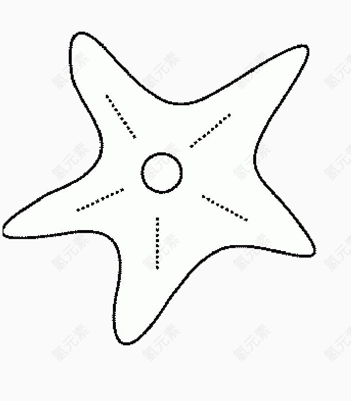 海星生物简笔画