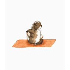 小豚鼠做瑜伽插画
