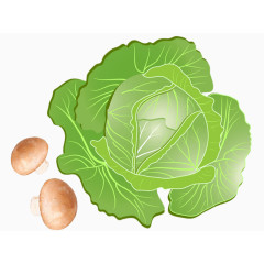 手绘菜叶素材