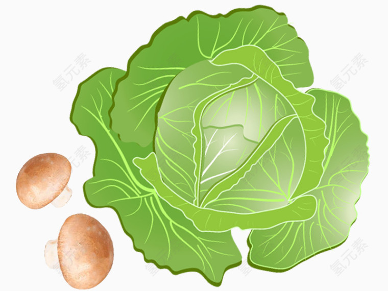 手绘菜叶素材