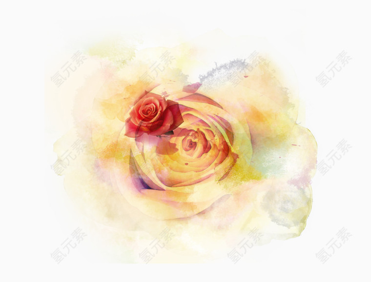 水彩缤纷玫瑰花