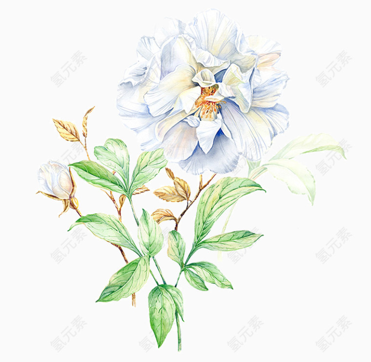 手绘淡雅花卉