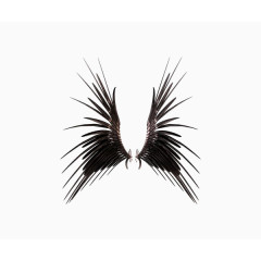 一对深色翅膀设计