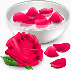 矢量手绘玫瑰花瓣