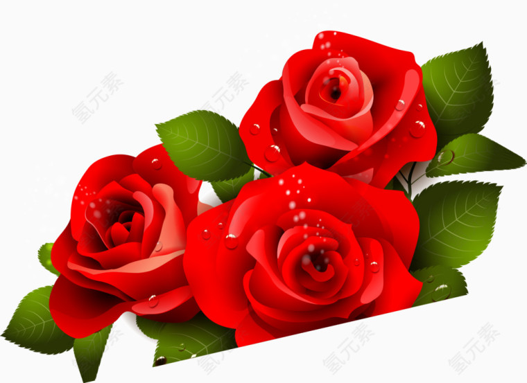 手绘红色玫瑰花图案