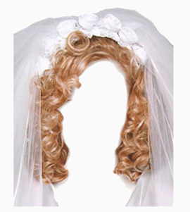 头发   假发   发型