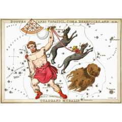 矢量遛狗的人物